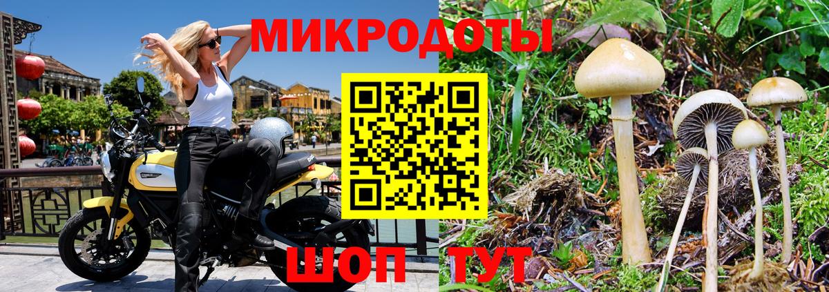 Псилоцибиновые грибы мухоморы Лобня
